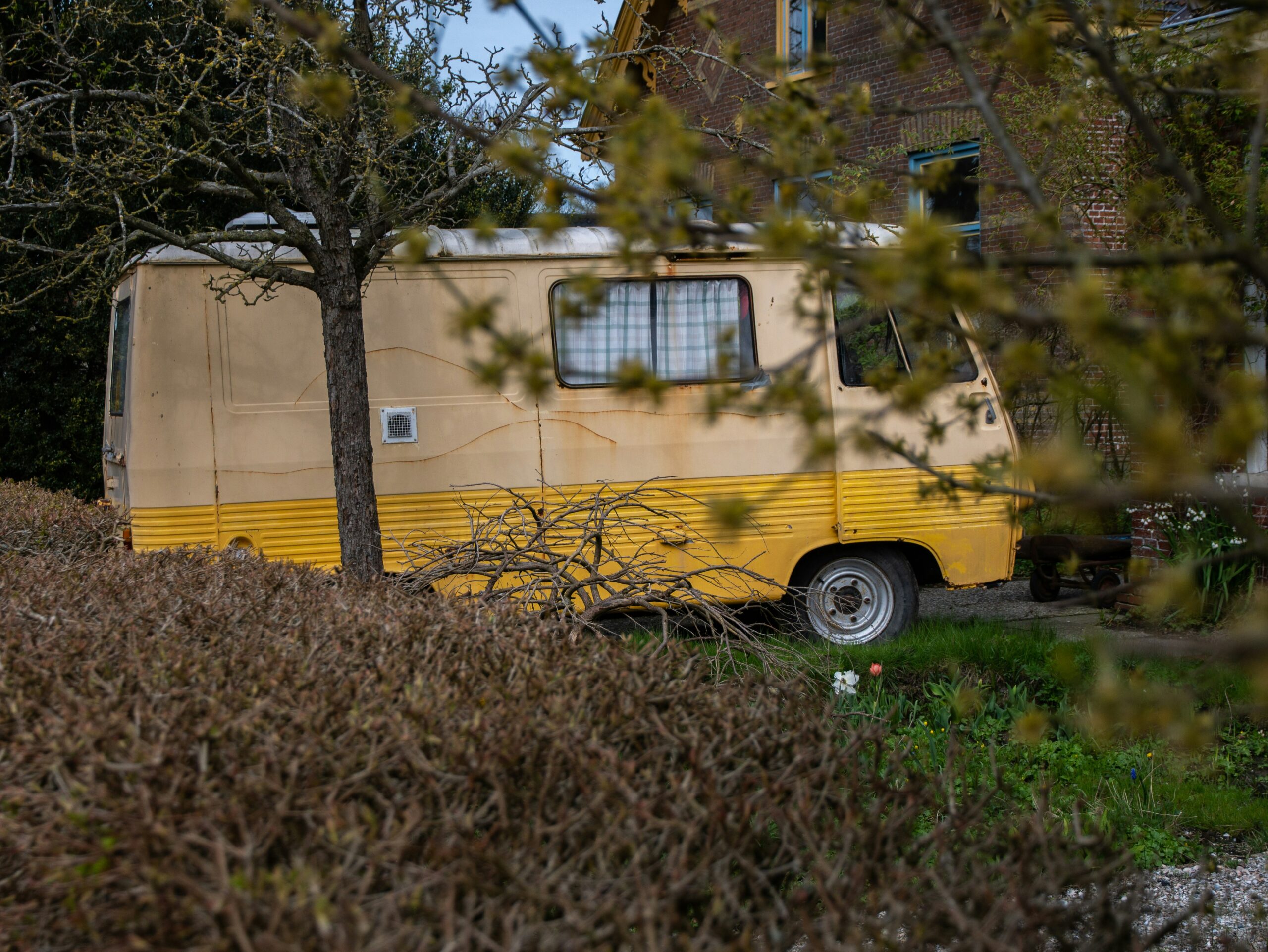 Vintage camper met gele striping geparkeerd bij een boerderij aan de Waddenkust, gezien door bloeiende takken