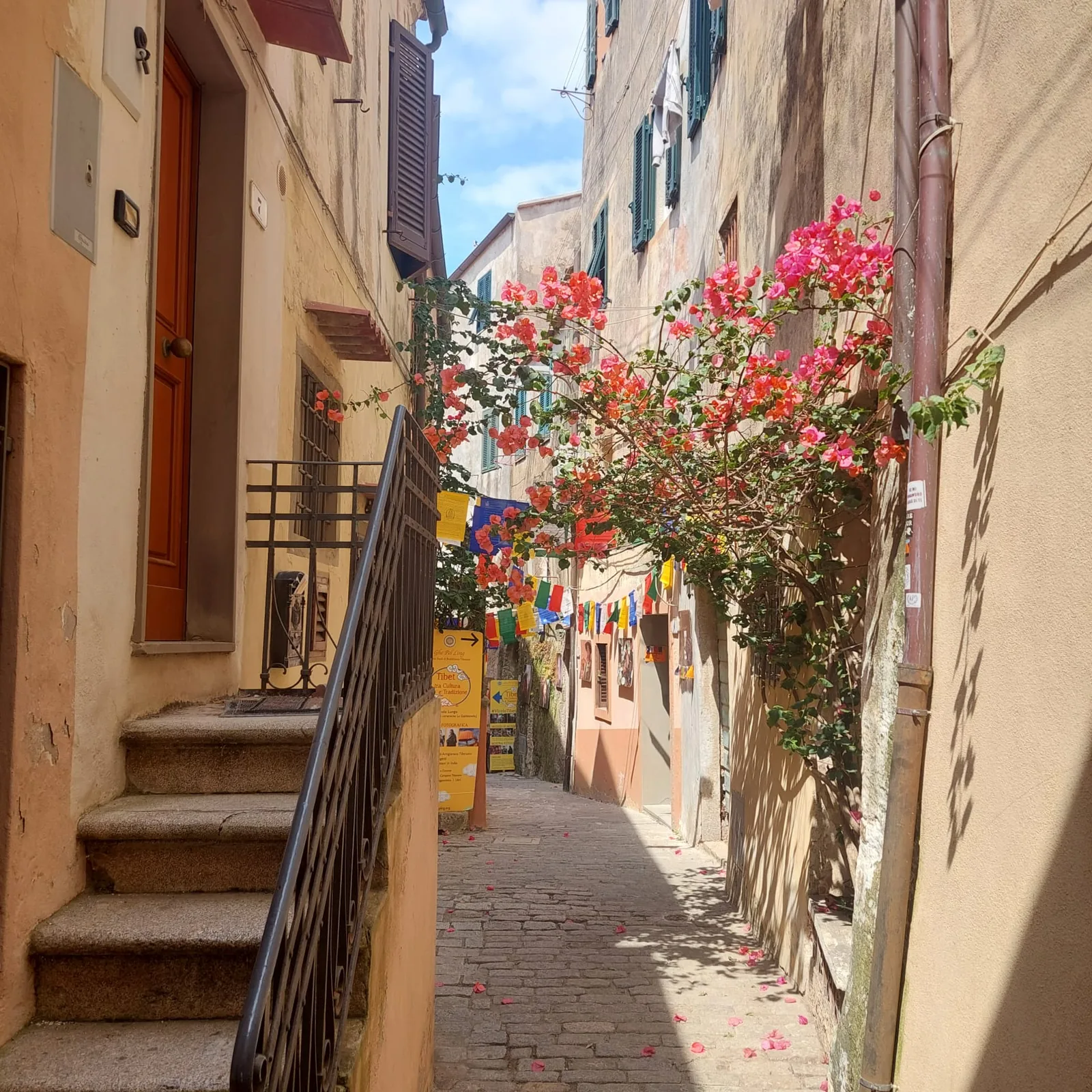 Steeg met trap en bloeiende bougainvillea in Capoliveri